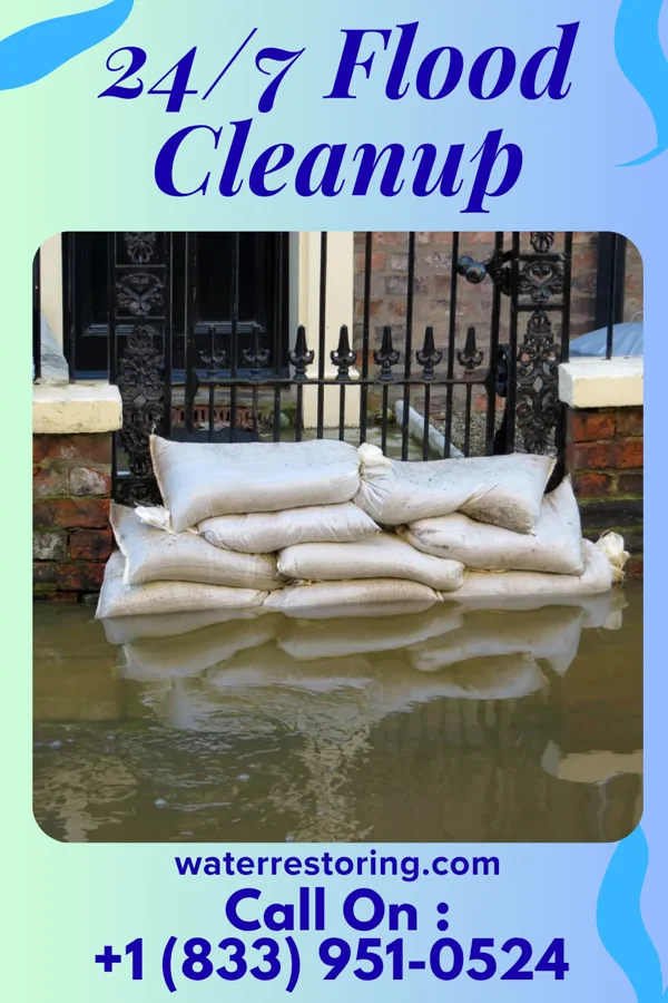 24/7 Flood Cleanup in Time, IL